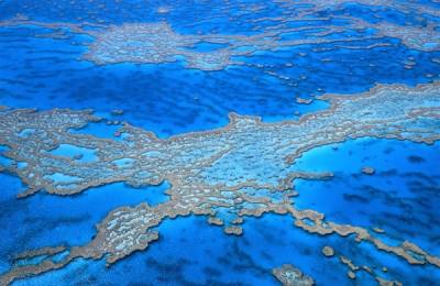 Marea Barieră de Corali