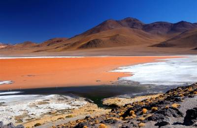 Laguna Colorada
