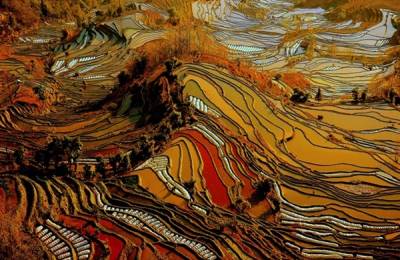 Orezăriile terasate Honghe Hani, Yunnan