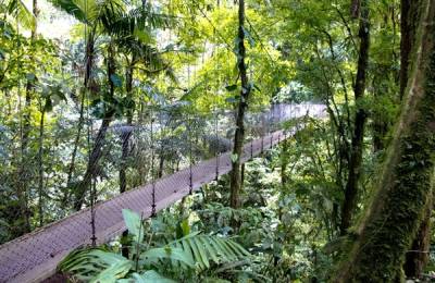 Pod suspendat în Parcul Național Arenal