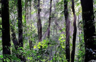 Rezervația Naturală Monteverde