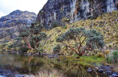 Parcul Național El Cajas Parcul Național El Cajas