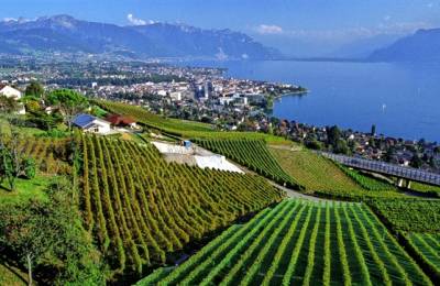 Lacul Leman