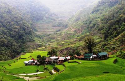 Orezăriile terasate Ifugao, Luzon Orezăriile terasate Ifugao, Luzon