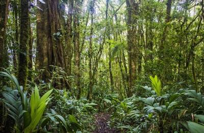 Parcul Național La Tigra