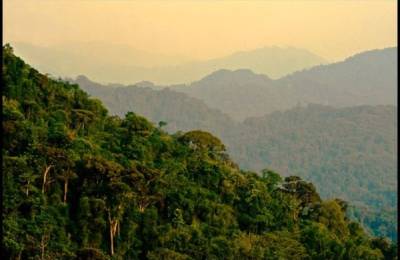 Parcul Naţional al Pădurilor Nyungwe