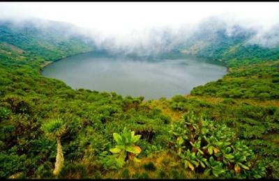 Parcul Naţional al Vulcanilor
