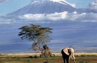 Muntele Kilimanjaro