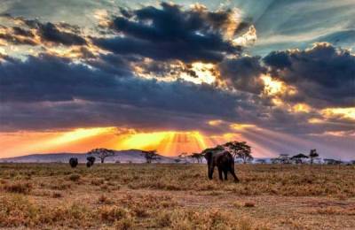 Parcul Naţional Serengeti