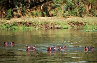 Parcul Naţional al Zambeziului Inferior