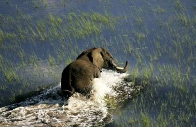 Parcul Naţional al Zambeziului Inferior