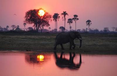 Parcul Naţional Mana Pools Parcul Naţional Mana Pools