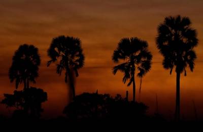 Parcul Național Kafue