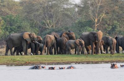 Parcul Național Liwonde
