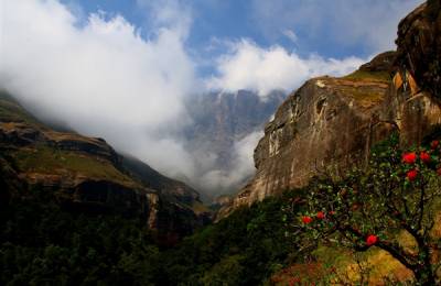 Munții Drakensberg, Africa de Sud