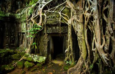 Angkor Wat, Cambodgia