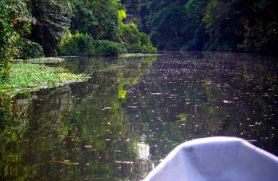 Parcul Național Tortuguero, Costa Rica