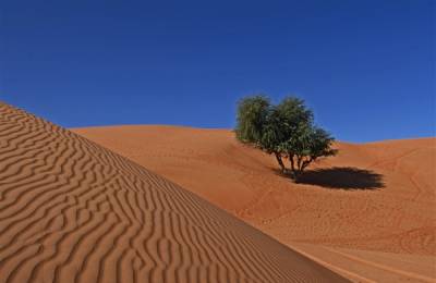 Wahiba Sands, Oman