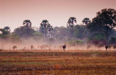 Delta Okavango, Botswana