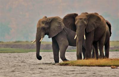 Fâșia Caprivi, Namibia