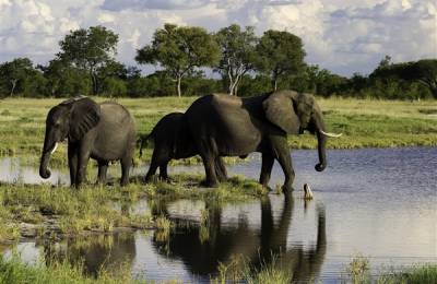 Parcul Național Hwange, Zimbabwe