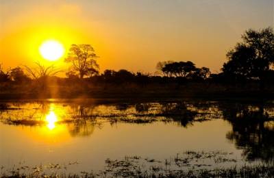 Rezervația Moremi, Botswana