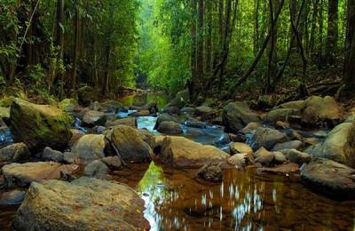 Sinharaja, Sri Lanka