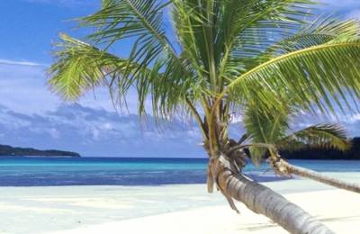 Hotel Coconut Beach Resort