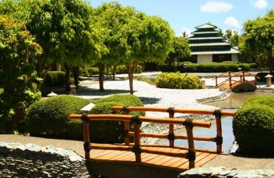 Hotel Plantation Bay Resort & Spa