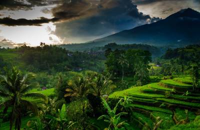 Jatiluwih, Indonezia