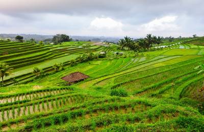 Jatiluwih, Indonezia