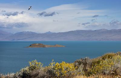 Lago Argentino, Argentina_