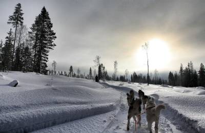 Levi, Finlanda
