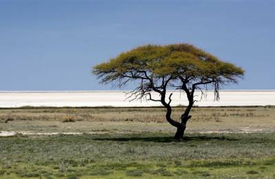 Parcul Național Etosha, Namibia
