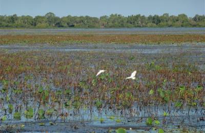 Parcul Național Kakadu, Australia
