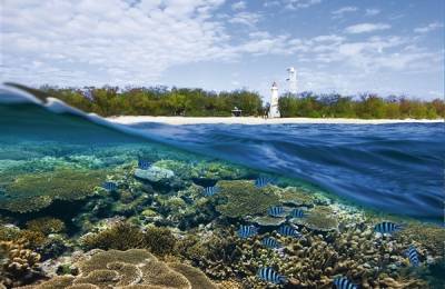 Marea Barieră de Corali, Australia