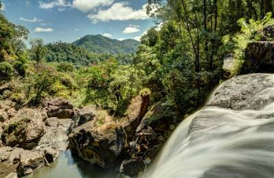 Parcul Național Wooroonooran, Australia