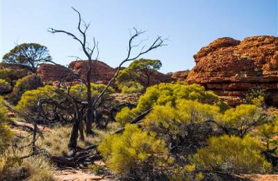 Canionul Regilor, Australia