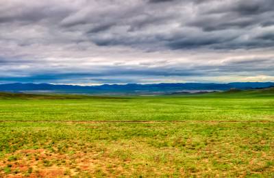 Parcul Național Hustai, Mongolia