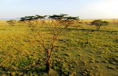 Parcul Național Serengeti, Tanzania