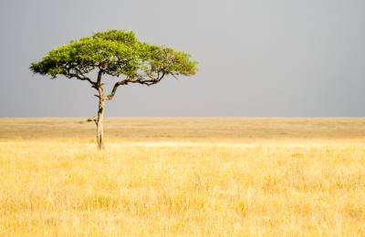 Parcul Național Serengeti, Tanzania