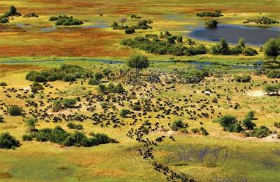 Delta Okavango, Botswana
