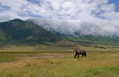 Ngorongoro Conservation Area, Tanzania