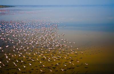 Parcul Național al Lacului Manyara, Tanzania