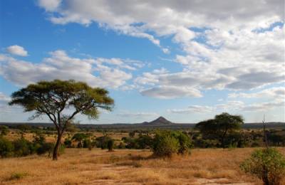 Parcul Național Tarangire, Tanzania