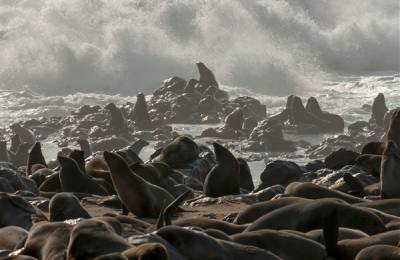 Cape Cross, Namibia