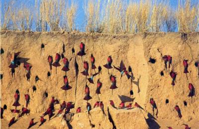 Fâșia Caprivi, Namibia