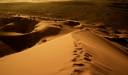 Deşertul Namib