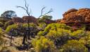 Canionul Regilor, Australia