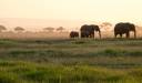 Parcul Național Amboseli, Kenya